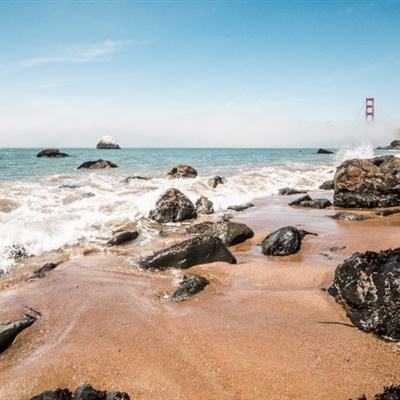 功夫大黄豆测试版下载